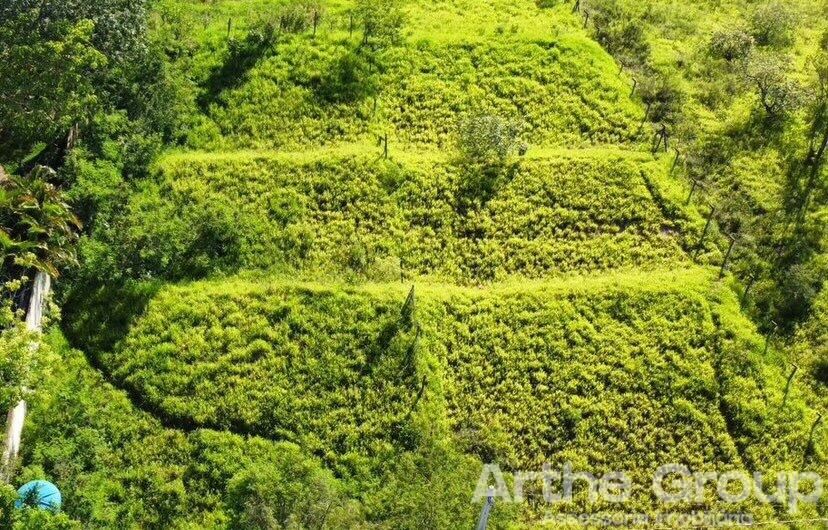 Terreno à venda, em Louveira